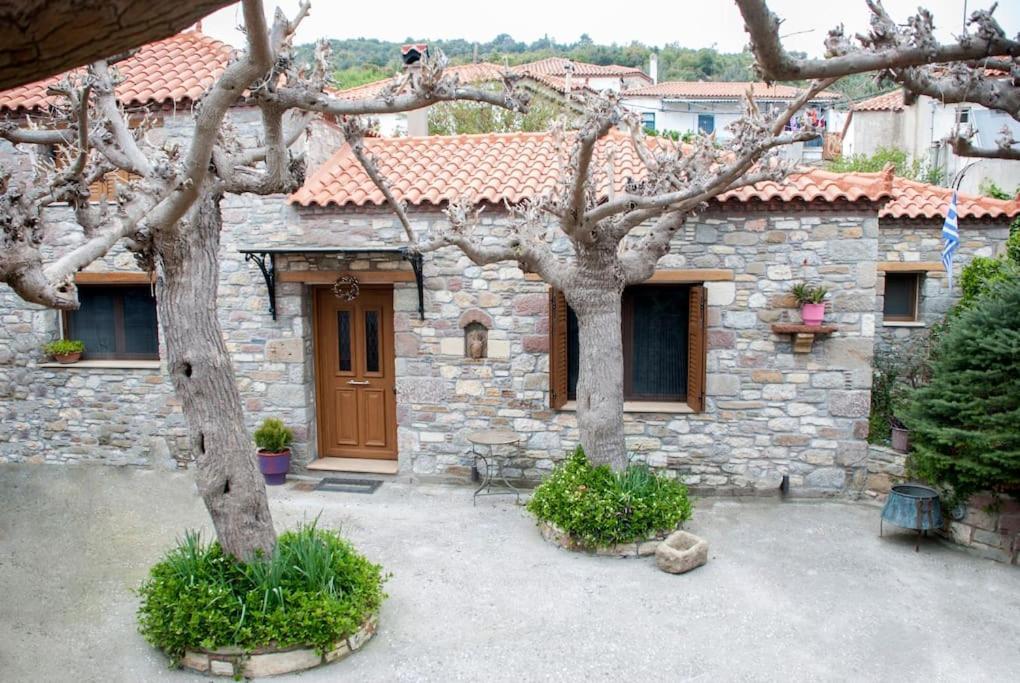Agios Vlasios "The Stone"公寓 外观 照片