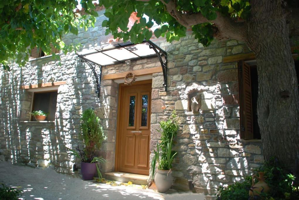 Agios Vlasios "The Stone"公寓 外观 照片