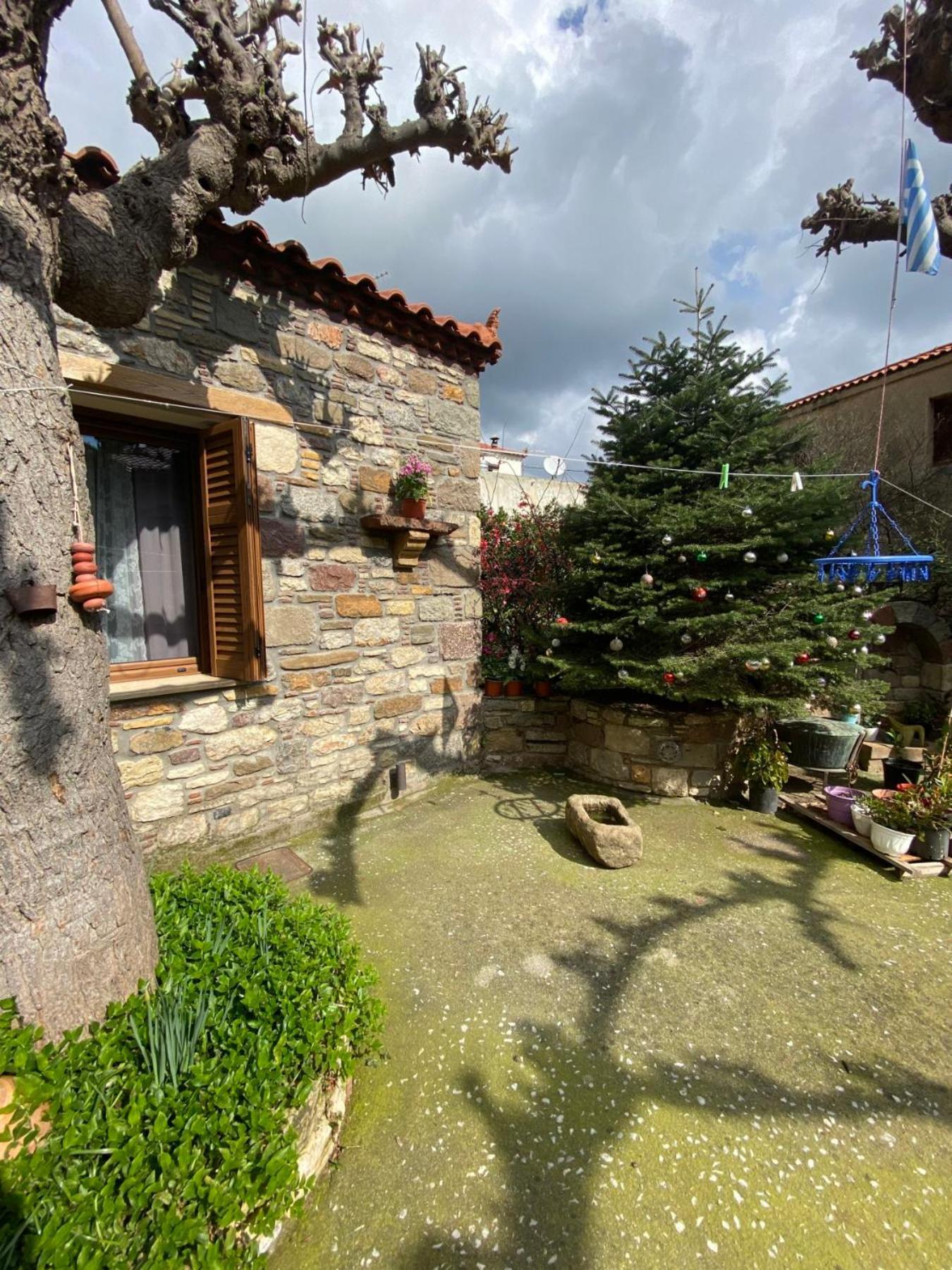 Agios Vlasios "The Stone"公寓 外观 照片